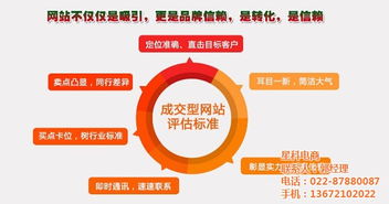 网站建设就找星科电商 沧州企业网站建设多少钱