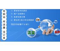 网络建设(17)
