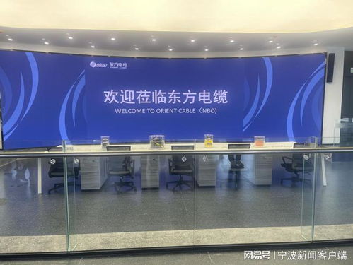 宁波市高级经济师协会走进宁波东方电缆 未来工厂