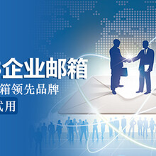 宁波派桑科技网络