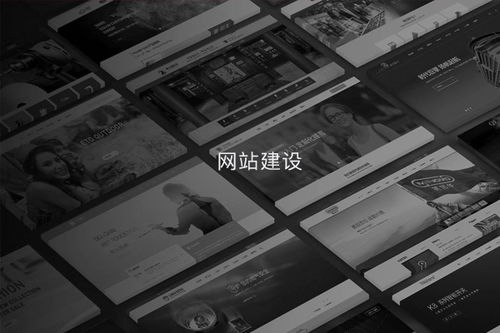宁海专业的企业网站建设服务