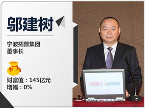 2017年中国十大汽车富豪榜出炉 排名有巨变